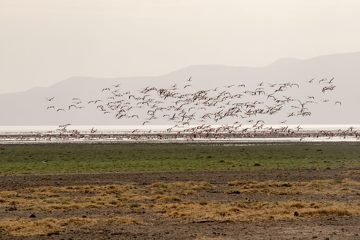 IMG_6872