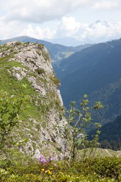 14082013-193.jpg