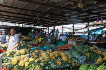 IMG_5234