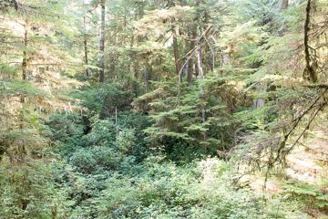 IMG_0919