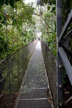 22022012-278.jpg