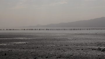 IMG_6921