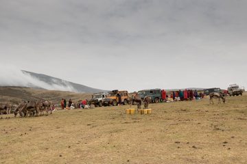 IMG_6623