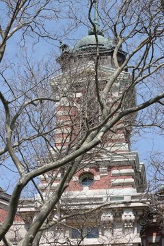 IMG_1161.jpg