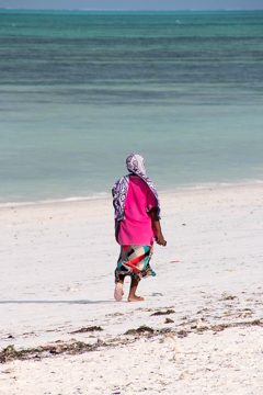 IMG_7790