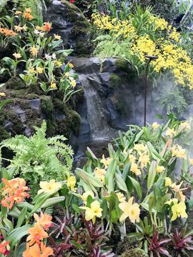 IMG_2867