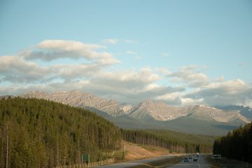 IMG_0608