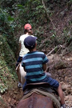 08032013-5.jpg
