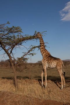 P-IMG_6548-2