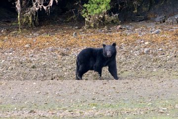 IMG_0803