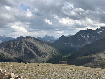 IMG_3251
