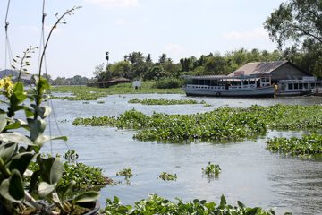 IMG_0312.jpg