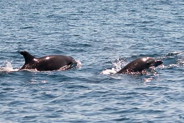 IMG_8848