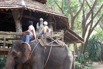 IMG_0496.jpg