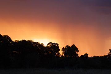 P-IMG_6803-2