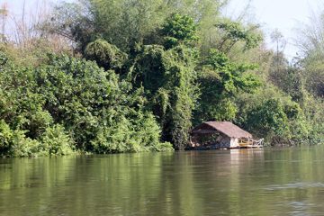 IMG_0460.jpg