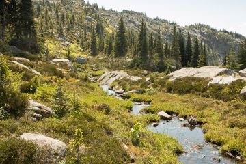 IMG_9944