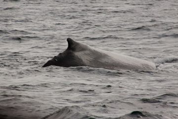 05032013-99.jpg