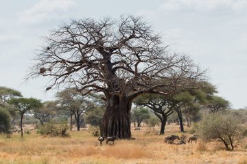 IMG_5956
