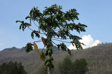 IMG_0448.jpg