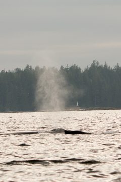 IMG_0765