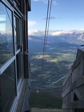 IMG_3254