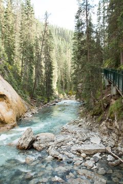 IMG_0566