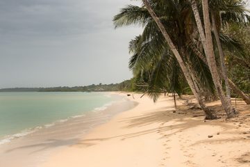 IMG_5459