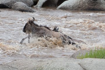 IMG_7393