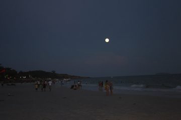 IMG_0714.jpg
