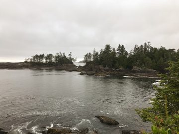 IMG_3351