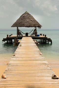 IMG_5347