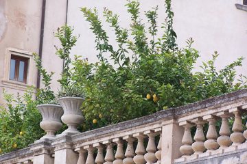 100_2162.jpg