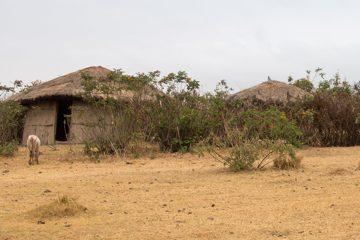 IMG_6628