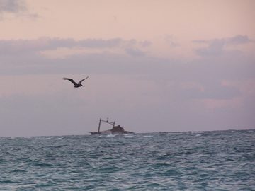 100_2761.jpg