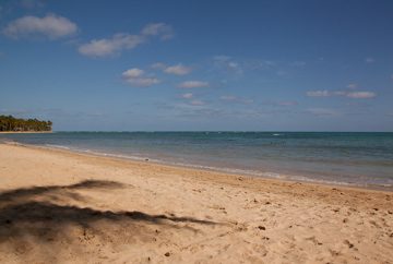 06032013-170.jpg
