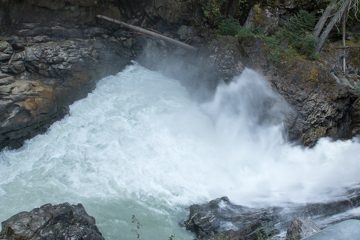 IMG_9849