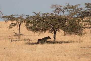 IMG_7336