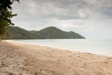 IMG_1021