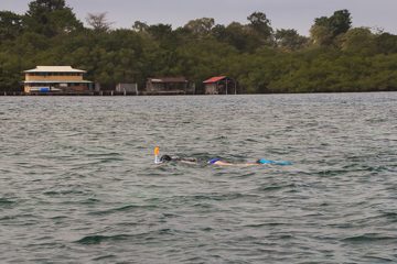 IMG_5429