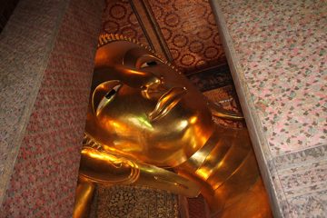 IMG_0157.jpg