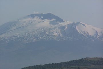 100_2203.jpg