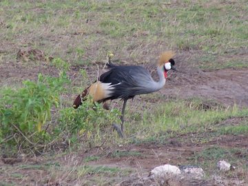 100_1137.jpg