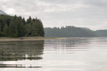 IMG_0816