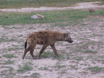 100_1363.jpg
