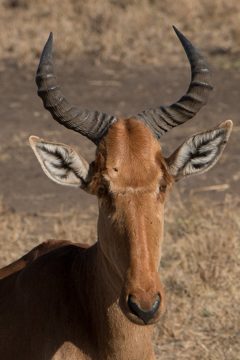 IMG_7255