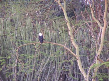 100_1456.jpg