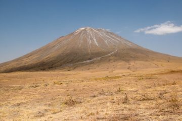 IMG_6781
