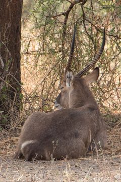 IMG_5996
