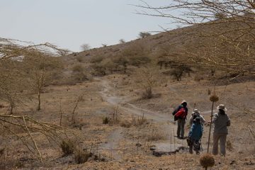 IMG_6732